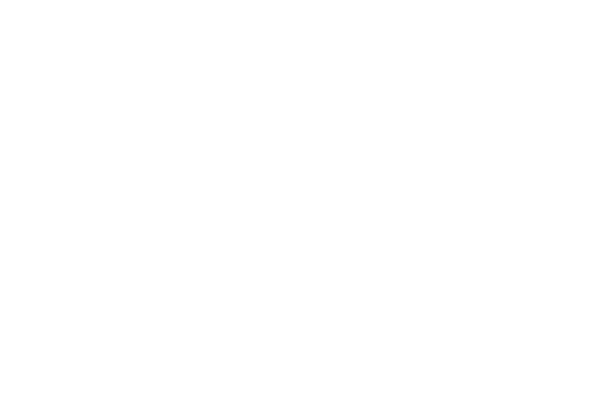 Choryfeen – Kasseler Frauenchor e. V.
